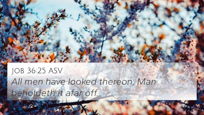 Job 36:25 ASV 4K Wallpaper - All men have looked thereon; Man beholdeth it - 4K Wallpaper Bible Verse