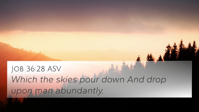 Job 36:28 ASV Bible Verse Image