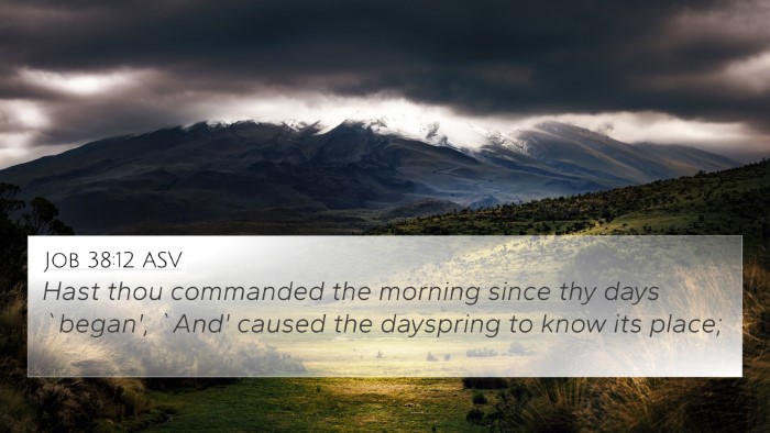 Job 38:12 ASV Bible Verse Image
