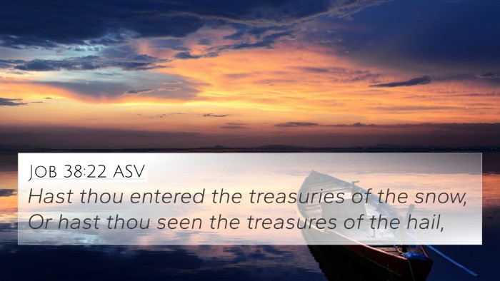 Job 38:22 ASV Bible Verse Image