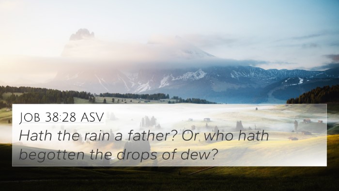 Job 38:28 ASV 4K Wallpaper - Hath the rain a father? Or who hath begotten the - 4K Wallpaper Bible Verse