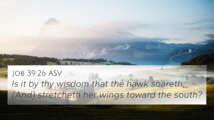 Job 39:26 ASV 4K Wallpaper - Is it by thy wisdom that the hawk soareth, (And) - 4K Wallpaper Bible Verse