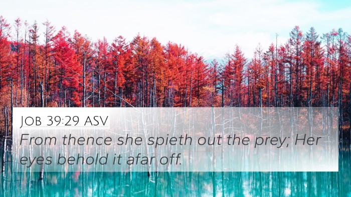 Job 39:29 ASV 4K Wallpaper - From thence she spieth out the prey; Her eyes - 4K Wallpaper Bible Verse