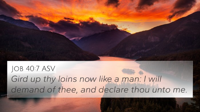 Job 40:7 ASV Bible Verse Image