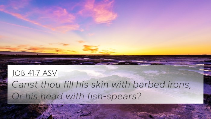 Job 41:7 ASV 4K Wallpaper - Canst thou fill his skin with barbed irons, Or - 4K Wallpaper Bible Verse