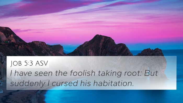 Job 5:3 ASV Bible Verse Image