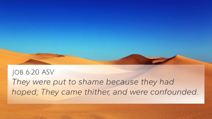 Job 6:20 ASV Bible Verse Image