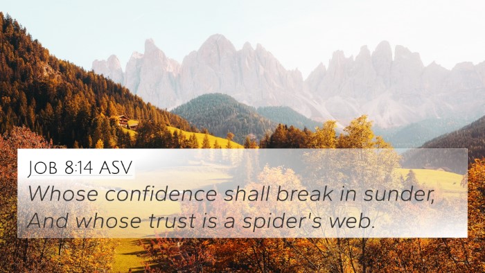 Job 8:14 ASV Bible Verse Image