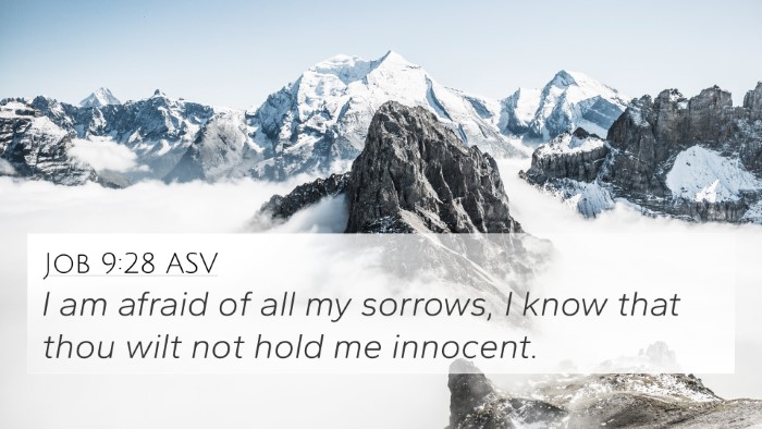 Job 9:28 ASV Bible Verse Image