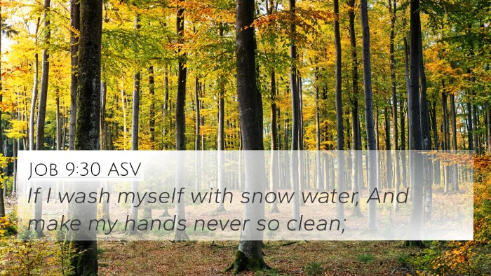 Job 9:30 ASV Bible Verse Image