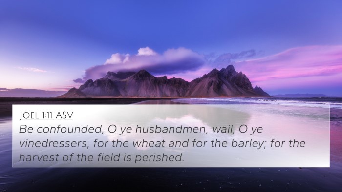 Joel 1:11 ASV Bible Verse Image