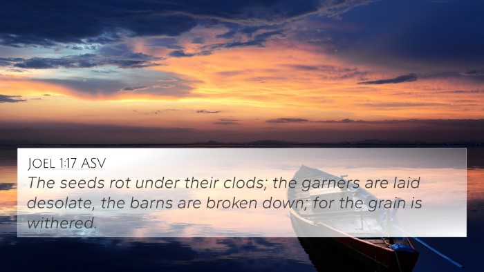 Joel 1:17 ASV Bible Verse Image