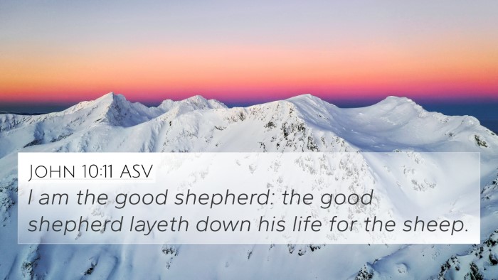 John 10:11 ASV Bible Verse Image