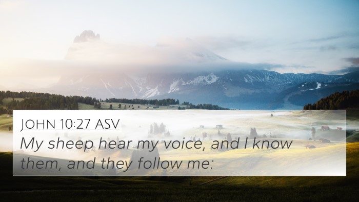 John 10:27 ASV Bible Verse Image