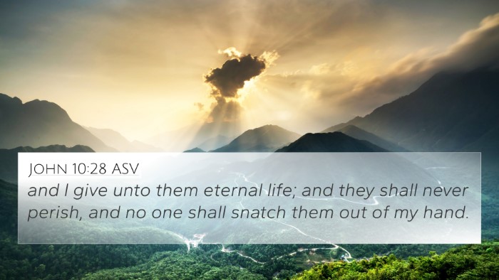John 10:28 ASV Bible Verse Image