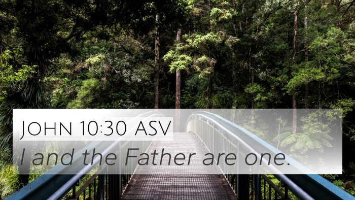 John 10:30 ASV Bible Verse Image