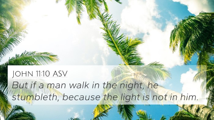 John 11:10 ASV Bible Verse Image