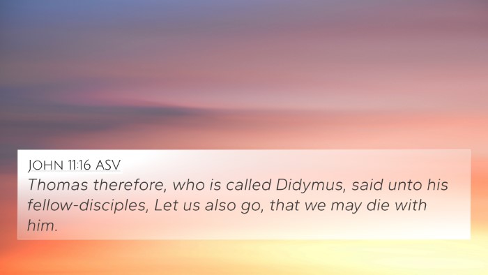 John 11:16 ASV Bible Verse Image