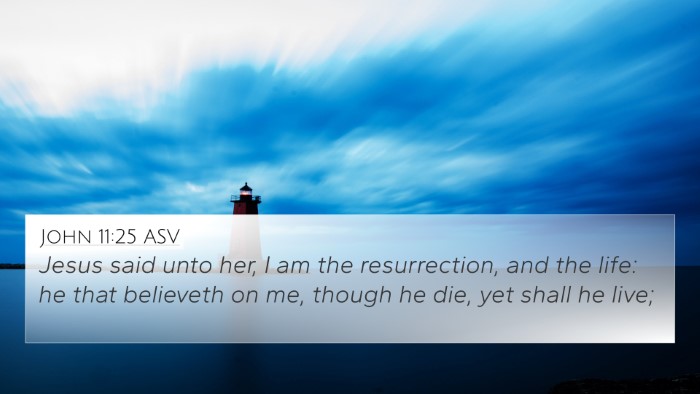 John 11:25 ASV Bible Verse Image