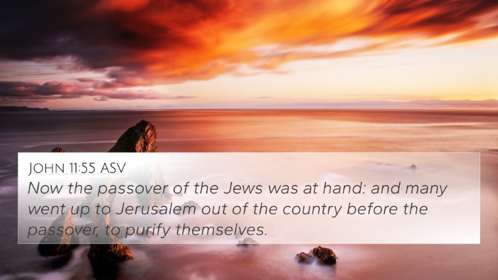 John 11:55 ASV Bible Verse Image