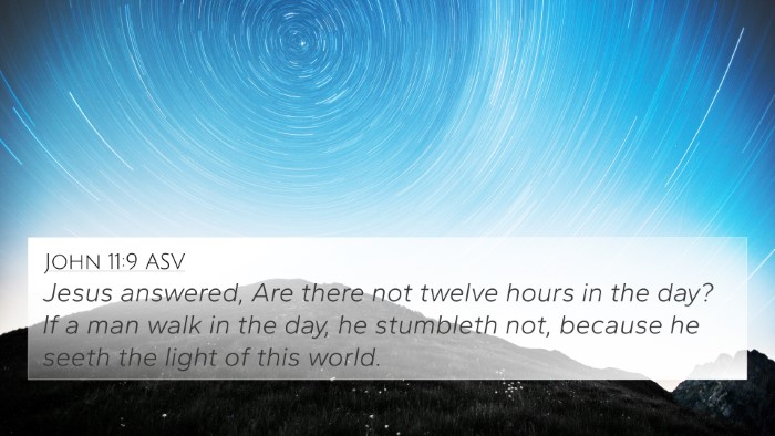 John 11:9 ASV Bible Verse Image