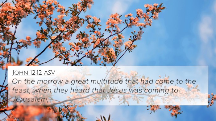 John 12:12 ASV Bible Verse Image
