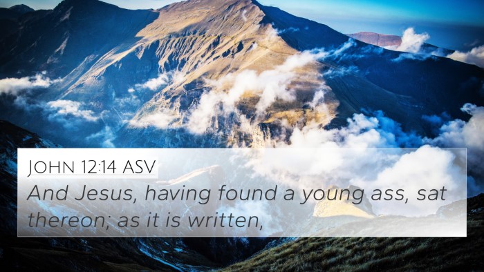John 12:14 ASV Bible Verse Image