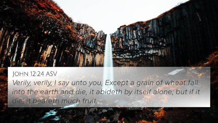 John 12:24 ASV Bible Verse Image