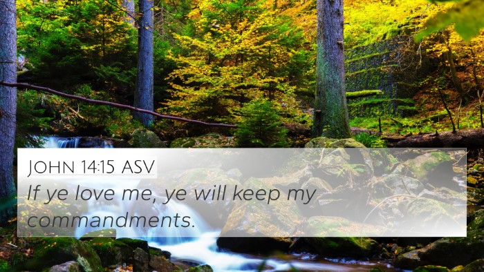 John 14:15 ASV Bible Verse Image