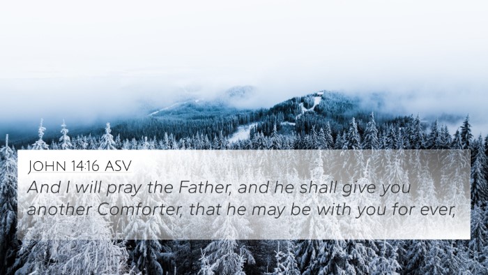 John 14:16 ASV Bible Verse Image