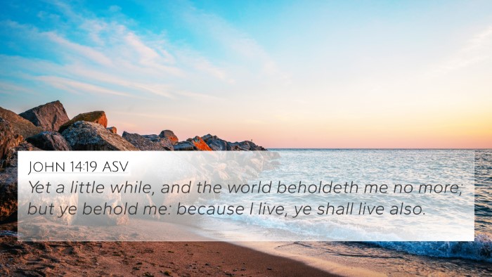 John 14:19 ASV Bible Verse Image