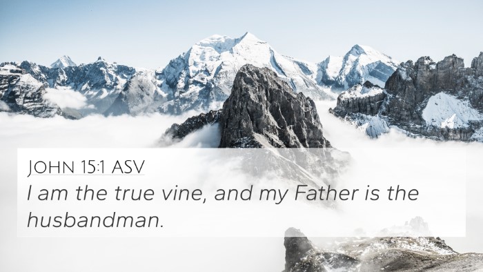 John 15:1 ASV Bible Verse Image