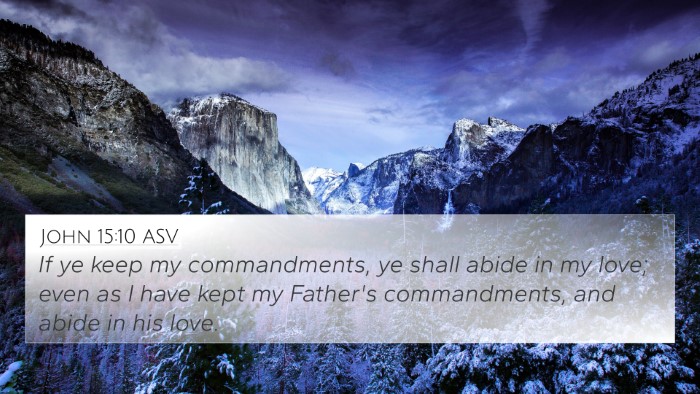John 15:10 ASV Bible Verse Image