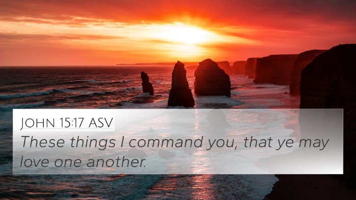 John 15:17 ASV Bible Verse Image
