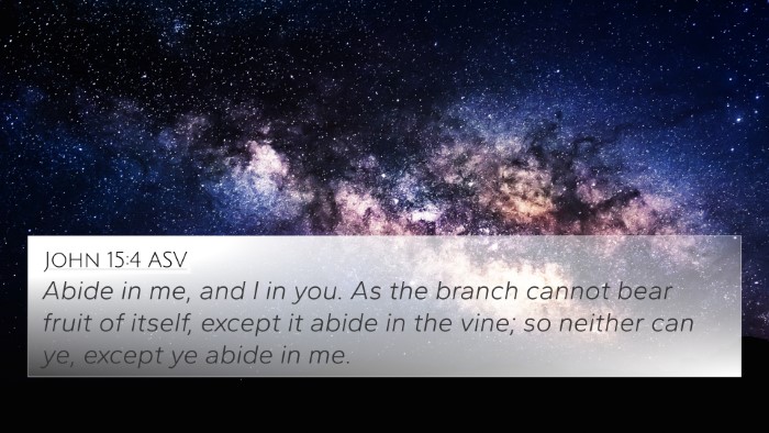 John 15:4 ASV Bible Verse Image