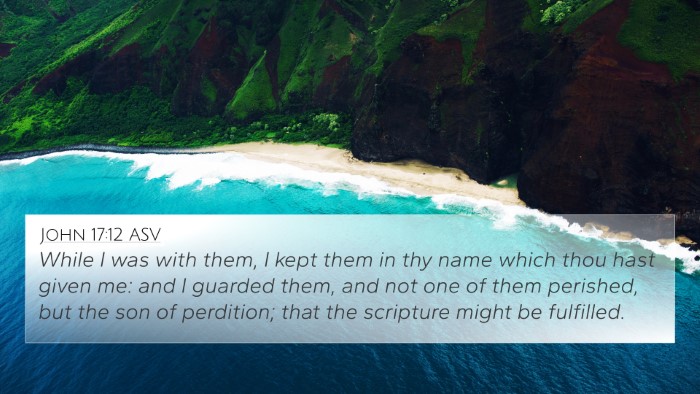 John 17:12 ASV Bible Verse Image