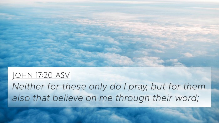 John 17:20 ASV Bible Verse Image