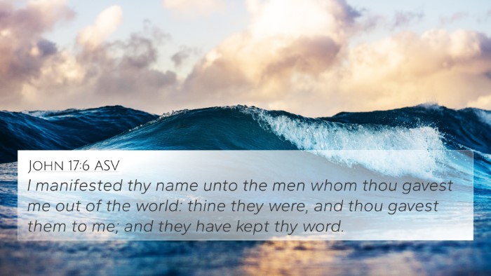 John 17:6 ASV Bible Verse Image