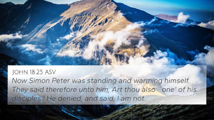 John 18:25 ASV Bible Verse Image