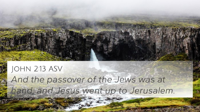 John 2:13 ASV Bible Verse Image