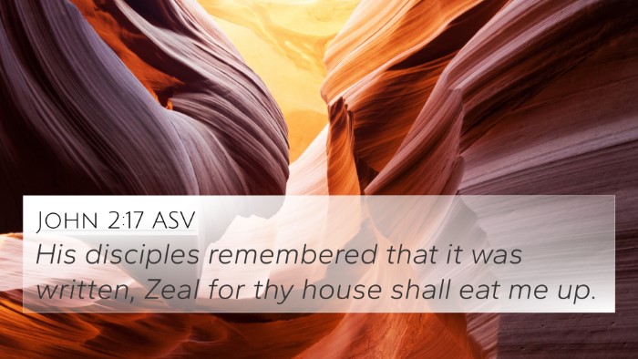 John 2:17 ASV Bible Verse Image