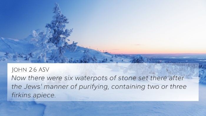 John 2:6 ASV Bible Verse Image