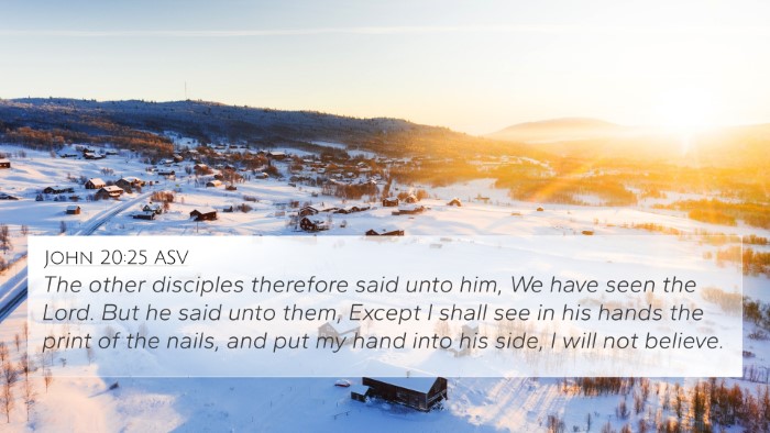 John 20:25 ASV Bible Verse Image