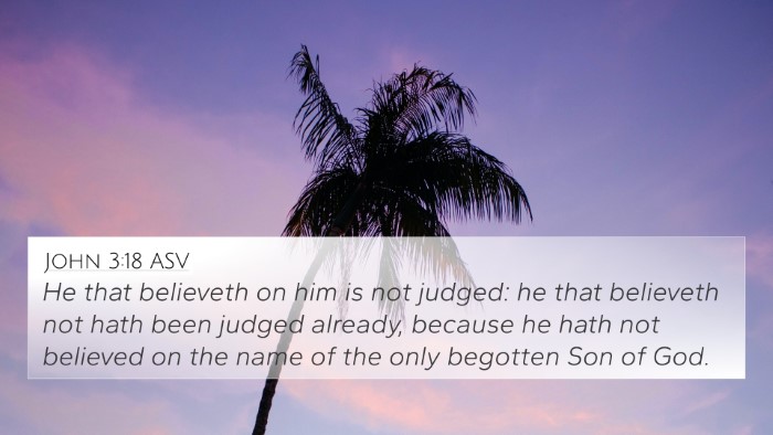 John 3:18 ASV Bible Verse Image