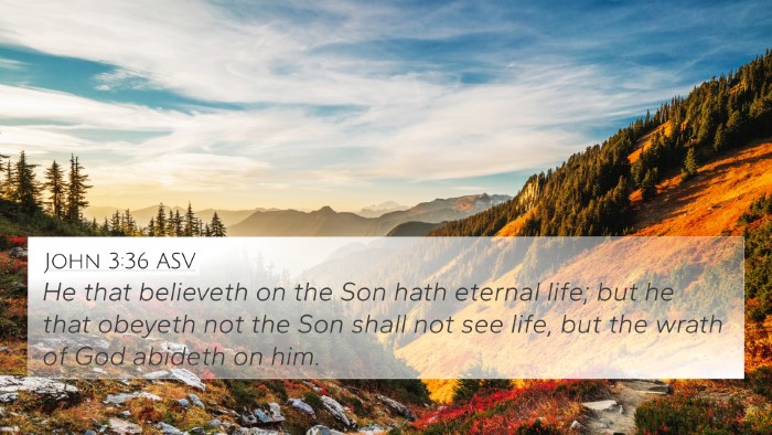 John 3:36 ASV Bible Verse Image