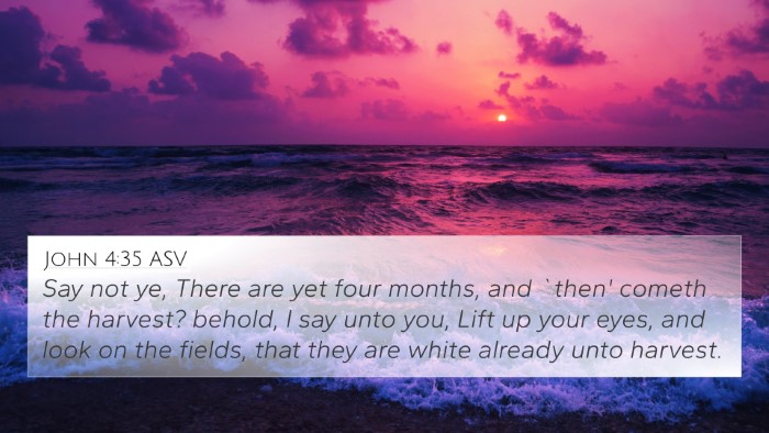 John 4:35 ASV Bible Verse Image