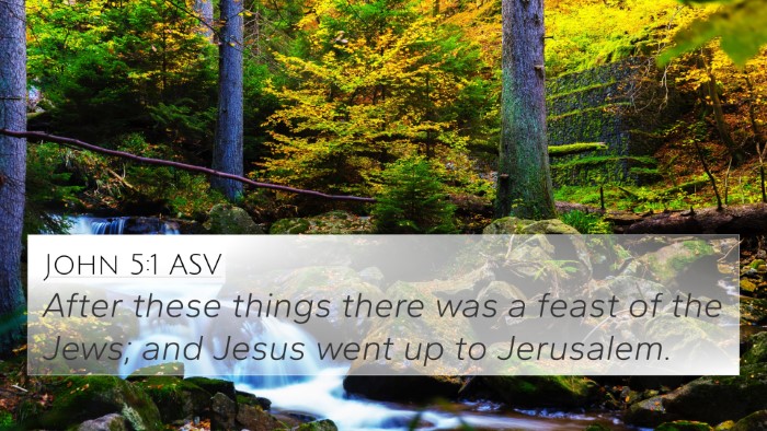 John 5:1 ASV Bible Verse Image