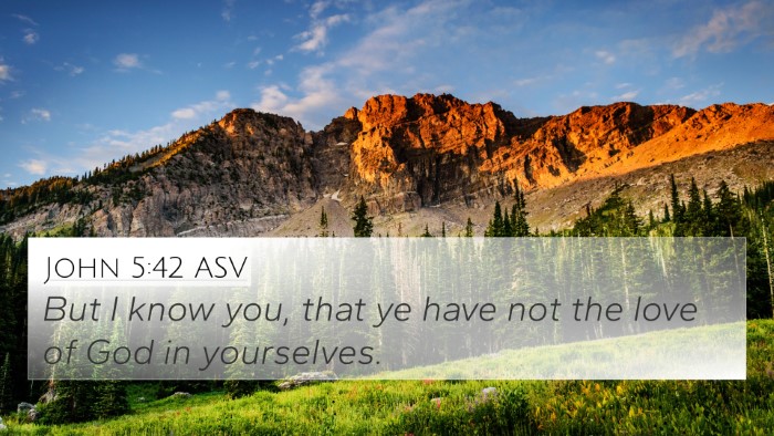 John 5:42 ASV Bible Verse Image