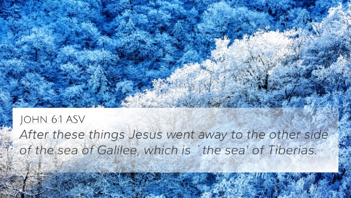 John 6:1 ASV Bible Verse Image