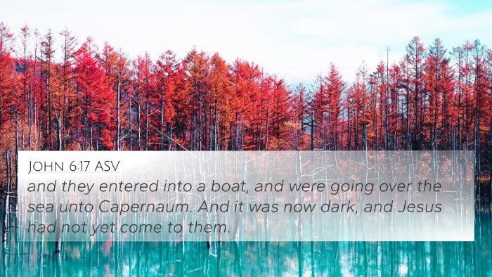John 6:17 ASV Bible Verse Image
